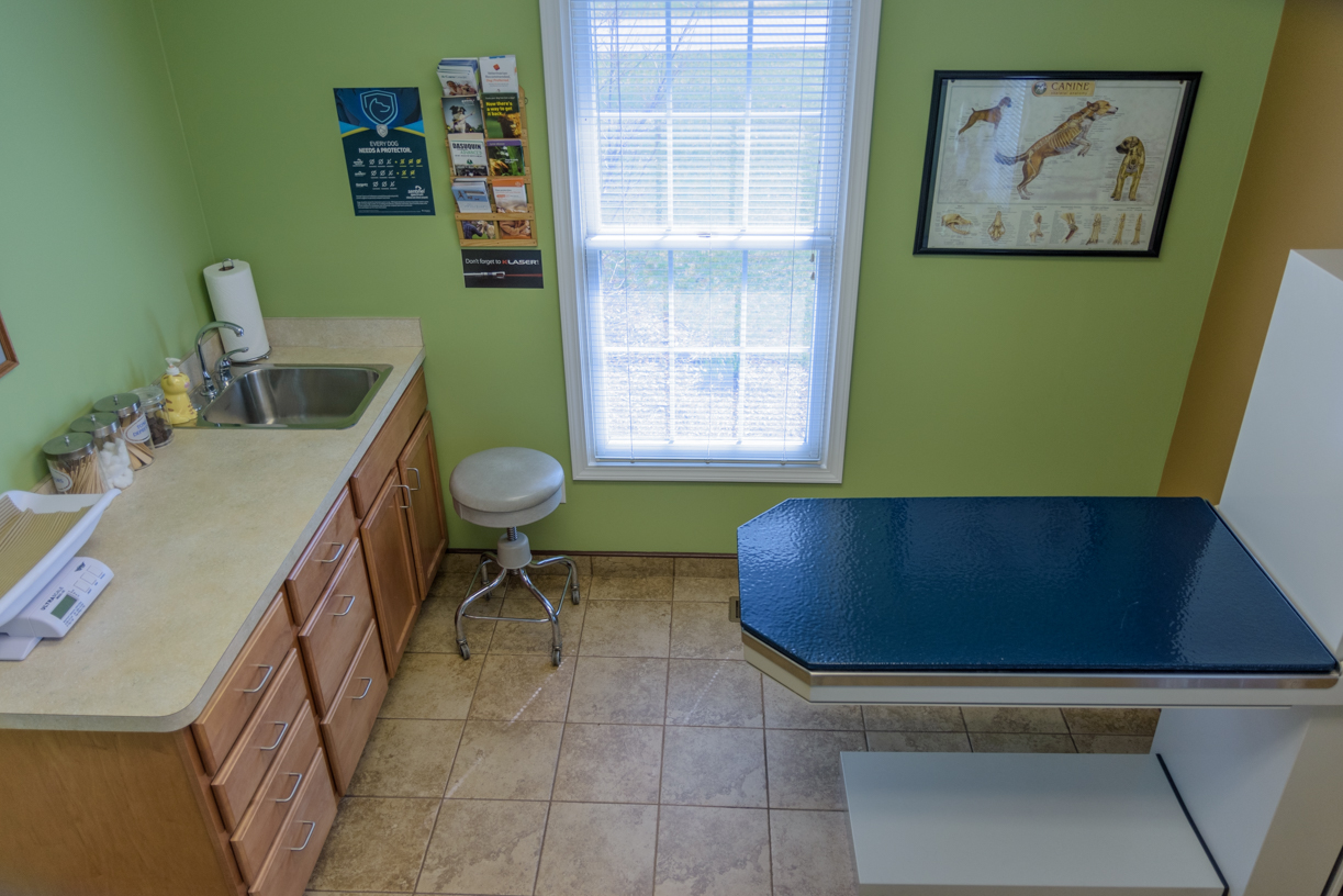 Veterinary Exam Room 1 - Equipped with a lift table