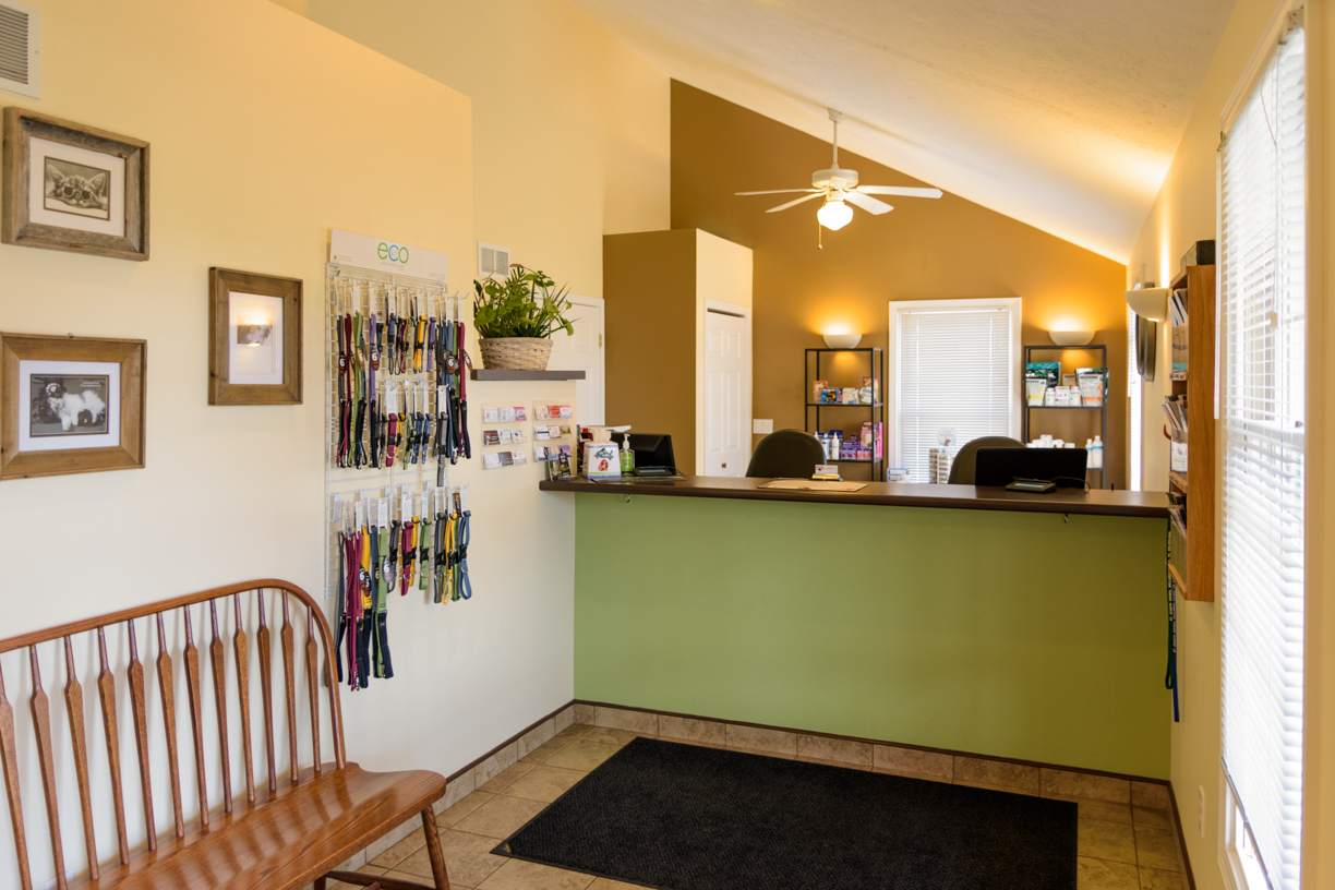 Veterinary Lobby - Our reception desk