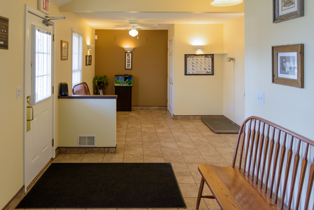 Veterinary Lobby - View from reception desk