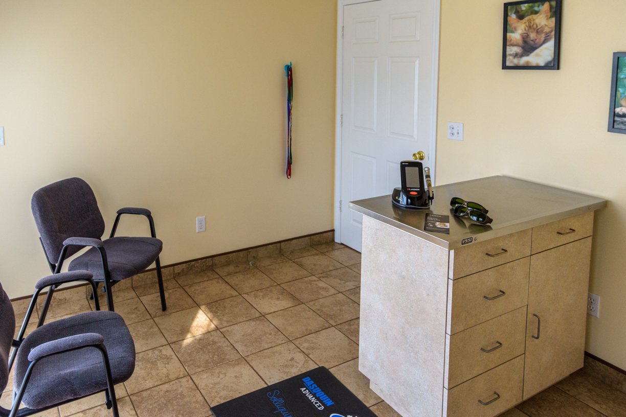 Veterinary Exam Room 3 - Equipped for laser therapy Veterinary Exam Room 3 - Equipped for laser therapy