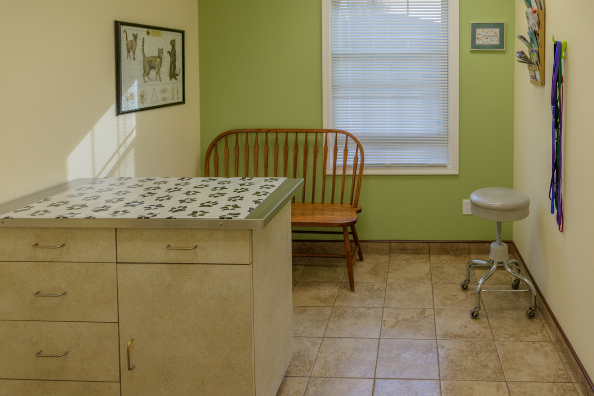 Veterinary Exam Room 2 - Our small pet exam room