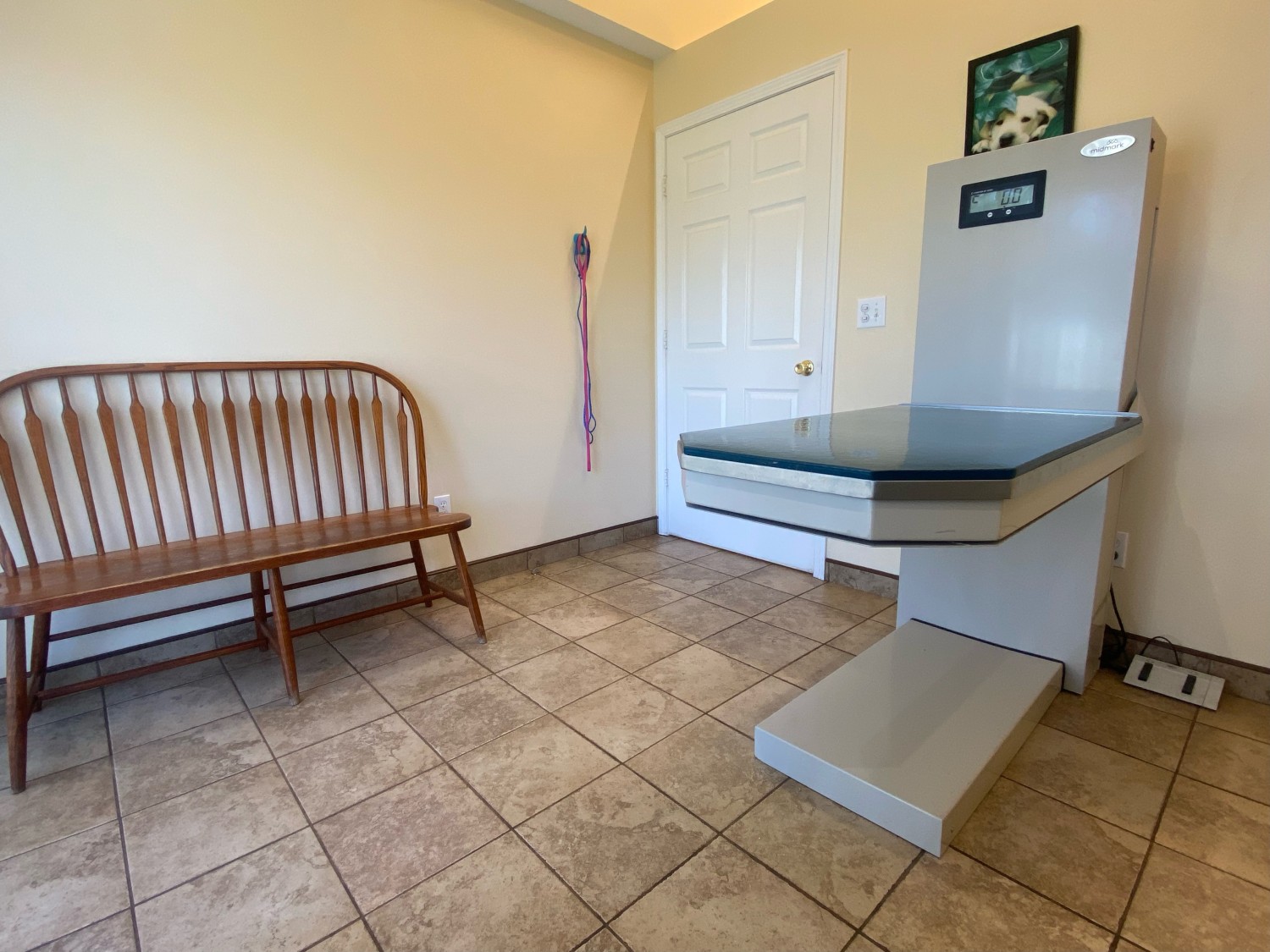 Veterinary Exam Room 3 - Equipped for laser therapy
